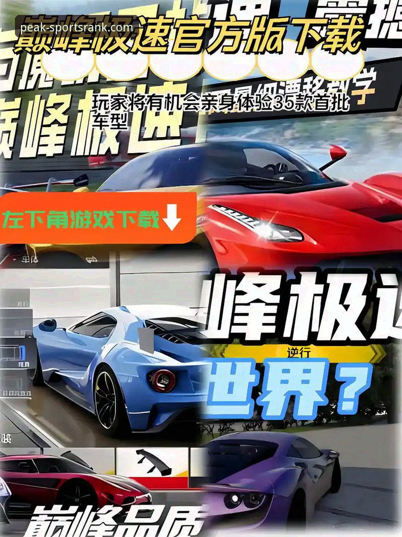 巅峰体育排行榜官网详解：从下载到精通，新手一站式指南