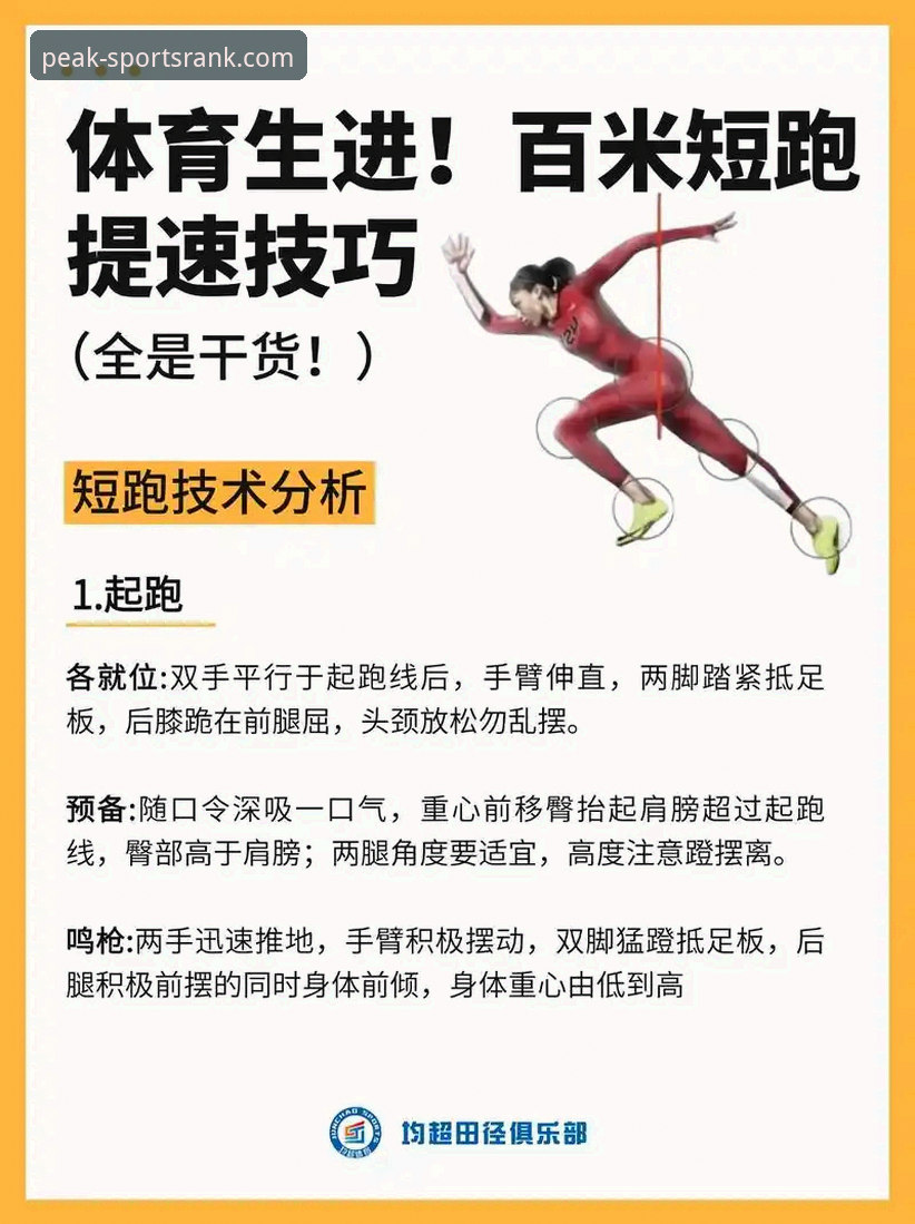 体育排行榜官网安装教程 如何安全高效地完成巅峰体育排行榜官网安装教程?