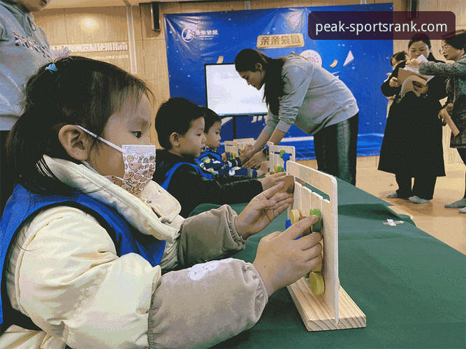 资深用户实战分享：如何通过巅峰体育官网手机版高效掌握赛事动态